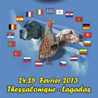 de la Thémeraie - Coupe d'Europe G.Q 2013